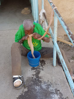 Clement washes his bandages with his teeth IMG-20180611-WA0002