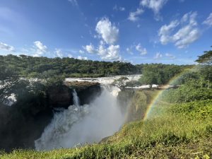 A view over the top of Murchison Falls
