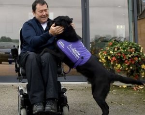A smiling man on a mobility scooter, stroking a black labrador dog with its front paws up on the man’s lap. The dog wears purple tabard with text ‘Canine Partners’.