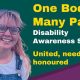 News release: celebrate Disability Awareness Sunday 2026