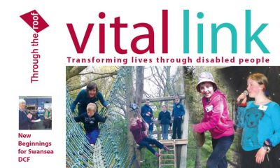 Summer 2011 Vital Link