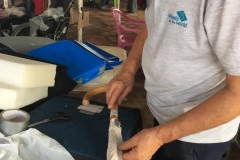 WhatsApp-Image-2019-10-24-at-19.17.28-1