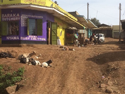 Potholes and rough terrain on the street through the village