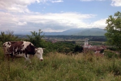 image1Kosovo-2015-web
